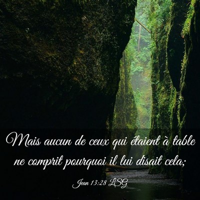 Picture 03 - Jean 13:28 LSG - Mais aucun de ceux qui étaient à table ne - Bible Verse Picture