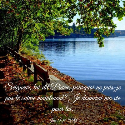 Picture 03 - Jean 13:37 LSG - Seigneur, lui dit Pierre, pourquoi ne puis-je pas - Bible Verse Picture