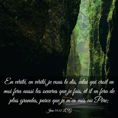 Picture 03 - Jean 14:12 LSG - En vérité, en vérité, je vous le dis, celui - Bible Verse Picture