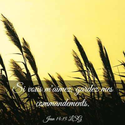 Picture 03 - Jean 14:15 LSG - Si vous m'aimez, gardez mes - Bible Verse Picture