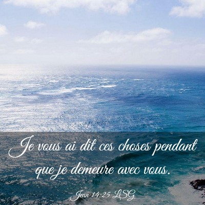 Picture 03 - Jean 14:25 LSG - Je vous ai dit ces choses pendant que je demeure - Bible Verse Picture