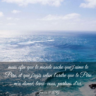 Picture 03 - Jean 14:31 LSG - mais afin que le monde sache que j'aime le Père, - Bible Verse Picture