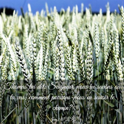 Picture 03 - Jean 14:5 LSG - Thomas lui dit: Seigneur, nous ne savons où tu - Bible Verse Picture