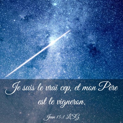 Picture 03 - Jean 15:1 LSG - Je suis le vrai cep, et mon Père est le - Bible Verse Picture