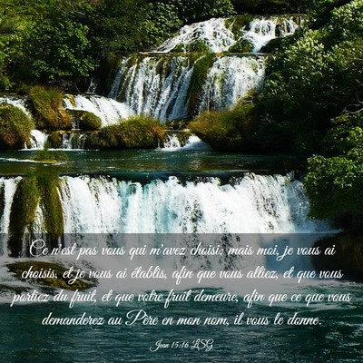 Picture 03 - Jean 15:16 LSG - Ce n'est pas vous qui m'avez choisi; mais moi, je - Bible Verse Picture