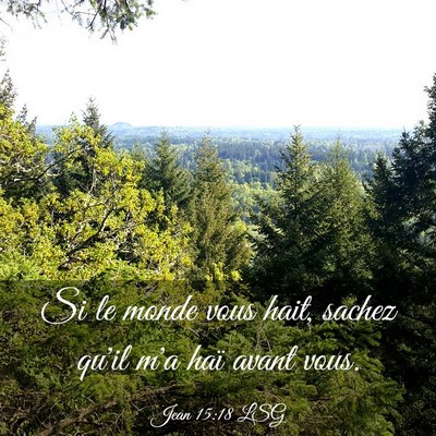 Picture 03 - Jean 15:18 LSG - Si le monde vous hait, sachez qu'il m'a haï - Bible Verse Picture
