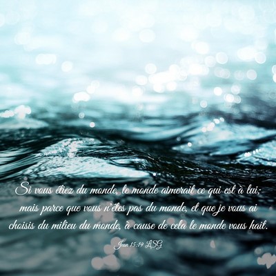 Picture 03 - Jean 15:19 LSG - Si vous étiez du monde, le monde aimerait ce qui - Bible Verse Picture