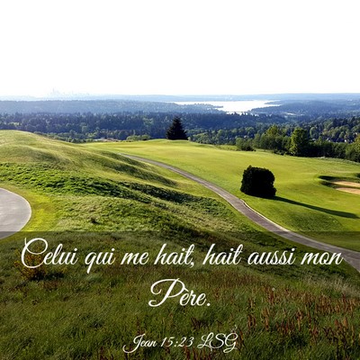 Picture 03 - Jean 15:23 LSG - Celui qui me hait, hait aussi mon - Bible Verse Picture