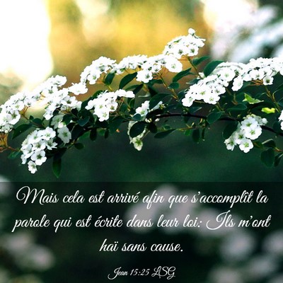 Picture 03 - Jean 15:25 LSG - Mais cela est arrivé afin que s'accomplît la - Bible Verse Picture