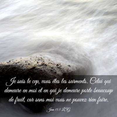 Picture 03 - Jean 15:5 LSG - Je suis le cep, vous êtes les sarments. Celui - Bible Verse Picture
