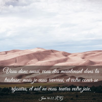 Picture 03 - Jean 16:22 LSG - Vous donc aussi, vous êtes maintenant dans la - Bible Verse Picture