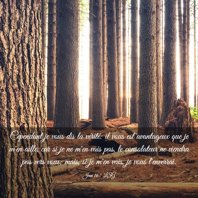 Picture 03 - Jean 16:7 LSG - Cependant je vous dis la vérité: il vous est - Bible Verse Picture