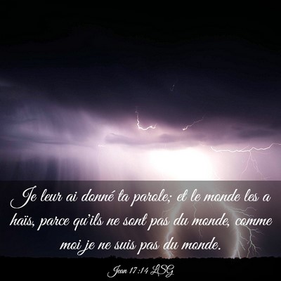 Picture 03 - Jean 17:14 LSG - Je leur ai donné ta parole; et le monde les a - Bible Verse Picture