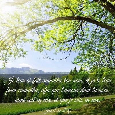 Picture 03 - Jean 17:26 LSG - Je leur ai fait connaître ton nom, et je le leur - Bible Verse Picture