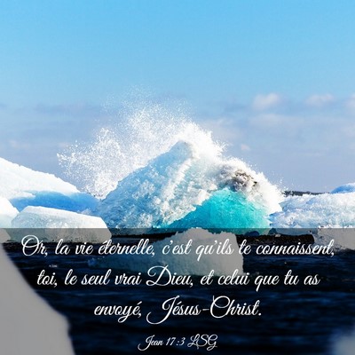 Picture 03 - Jean 17:3 LSG - Or, la vie éternelle, c'est qu'ils te - Bible Verse Picture
