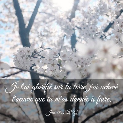 Picture 03 - Jean 17:4 LSG - Je t'ai glorifié sur la terre, j'ai achevé - Bible Verse Picture