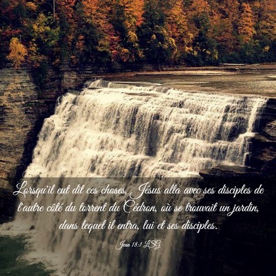 Picture 03 - Jean 18:1 LSG - Lorsqu'il eut dit ces choses, Jésus alla avec - Bible Verse Picture