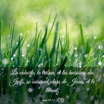 Picture 03 - Jean 18:12 LSG - La cohorte, le tribun, et les huissiers des - Bible Verse Picture