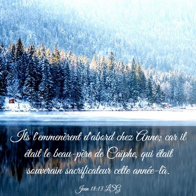 Picture 03 - Jean 18:13 LSG - Ils l'emmenèrent d'abord chez Anne; car il - Bible Verse Picture