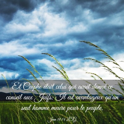 Picture 03 - Jean 18:14 LSG - Et Caïphe était celui qui avait donné ce - Bible Verse Picture