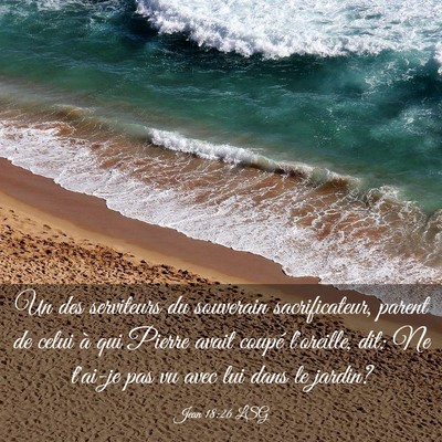 Picture 03 - Jean 18:26 LSG - Un des serviteurs du souverain sacrificateur, - Bible Verse Picture