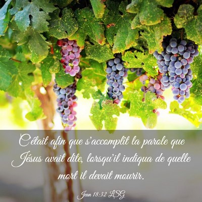 Picture 03 - Jean 18:32 LSG - C'était afin que s'accomplît la parole que - Bible Verse Picture