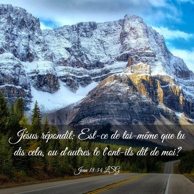 Picture 03 - Jean 18:34 LSG - Jésus répondit: Est-ce de toi-même que tu dis - Bible Verse Picture