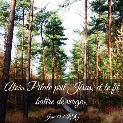 Picture 03 - Jean 19:1 LSG - Alors Pilate prit Jésus, et le fit battre de - Bible Verse Picture