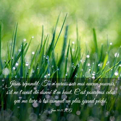 Picture 03 - Jean 19:11 LSG - Jésus répondit: Tu n'aurais sur moi aucun - Bible Verse Picture