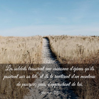 Picture 03 - Jean 19:2 LSG - Les soldats tressèrent une couronne d'épines - Bible Verse Picture