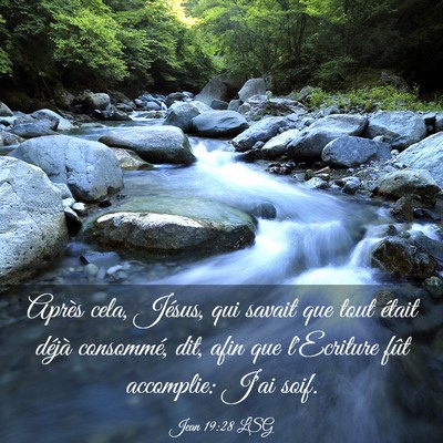 Picture 03 - Jean 19:28 LSG - Après cela, Jésus, qui savait que tout était - Bible Verse Picture