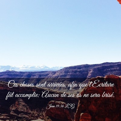 Picture 03 - Jean 19:36 LSG - Ces choses sont arrivées, afin que l'Ecriture - Bible Verse Picture