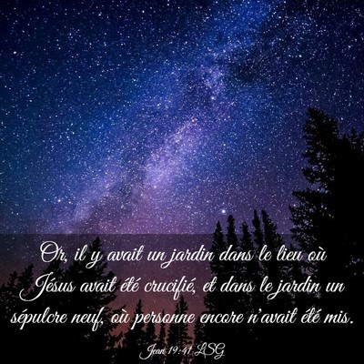Picture 03 - Jean 19:41 LSG - Or, il y avait un jardin dans le lieu où Jésus - Bible Verse Picture