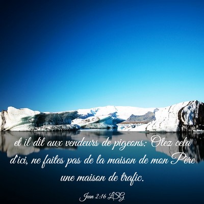 Picture 03 - Jean 2:16 LSG - et il dit aux vendeurs de pigeons: Otez cela - Bible Verse Picture