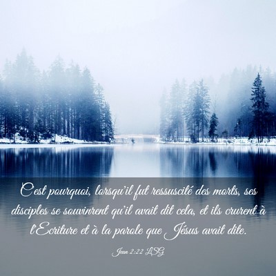 Picture 03 - Jean 2:22 LSG - C'est pourquoi, lorsqu'il fut ressuscité des - Bible Verse Picture