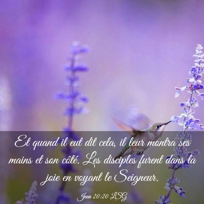 Picture 03 - Jean 20:20 LSG - Et quand il eut dit cela, il leur montra ses - Bible Verse Picture