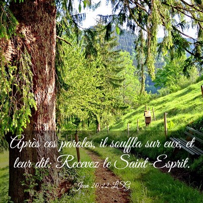 Picture 03 - Jean 20:22 LSG - Après ces paroles, il souffla sur eux, et leur - Bible Verse Picture