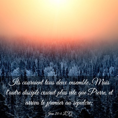 Picture 03 - Jean 20:4 LSG - Ils couraient tous deux ensemble. Mais l'autre - Bible Verse Picture