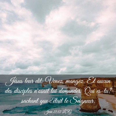 Picture 03 - Jean 21:12 LSG - Jésus leur dit: Venez, mangez. Et aucun des - Bible Verse Picture