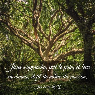 Picture 03 - Jean 21:13 LSG - Jésus s'approcha, prit le pain, et leur en - Bible Verse Picture