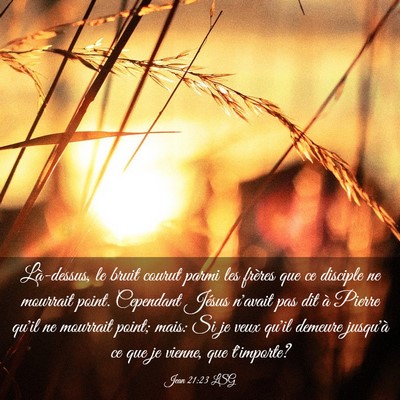 Picture 03 - Jean 21:23 LSG - Là-dessus, le bruit courut parmi les frères que - Bible Verse Picture