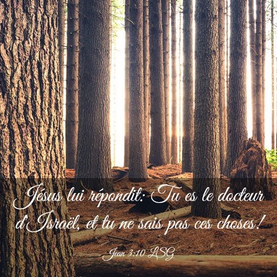 Picture 03 - Jean 3:10 LSG - Jésus lui répondit: Tu es le docteur d'Israël, - Bible Verse Picture
