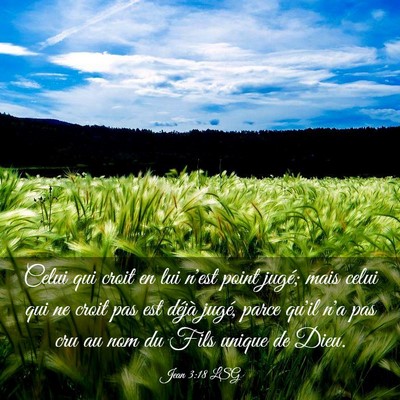 Picture 03 - Jean 3:18 LSG - Celui qui croit en lui n'est point jugé; mais - Bible Verse Picture