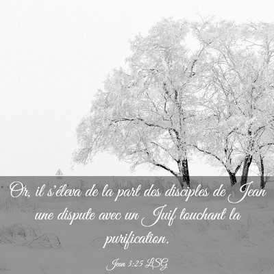 Picture 03 - Jean 3:25 LSG - Or, il s'éleva de la part des disciples de Jean - Bible Verse Picture