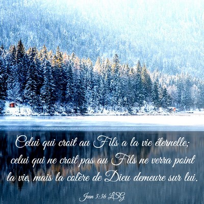 Picture 03 - Jean 3:36 LSG - Celui qui croit au Fils a la vie éternelle; - Bible Verse Picture