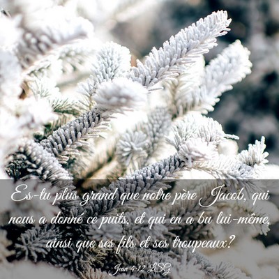 Picture 03 - Jean 4:12 LSG - Es-tu plus grand que notre père Jacob, qui nous - Bible Verse Picture