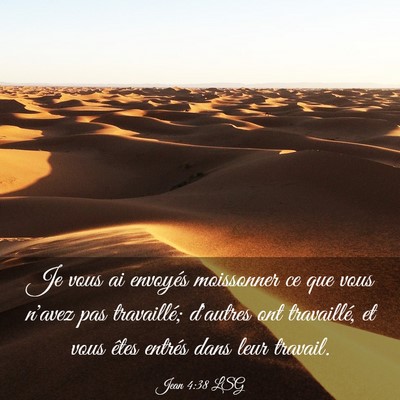 Picture 03 - Jean 4:38 LSG - Je vous ai envoyés moissonner ce que vous n'avez - Bible Verse Picture
