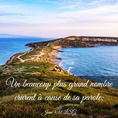 Picture 03 - Jean 4:41 LSG - Un beaucoup plus grand nombre crurent à cause de - Bible Verse Picture