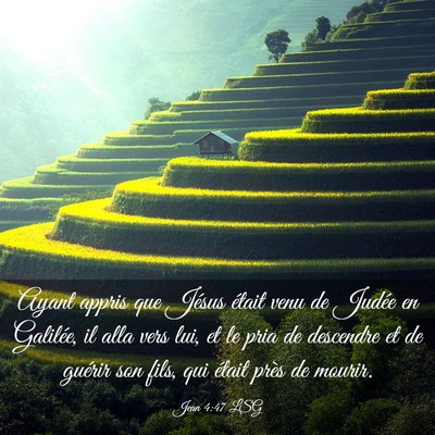 Picture 03 - Jean 4:47 LSG - Ayant appris que Jésus était venu de Judée en - Bible Verse Picture