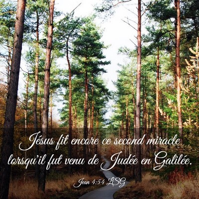 Picture 03 - Jean 4:54 LSG - Jésus fit encore ce second miracle lorsqu'il fut - Bible Verse Picture